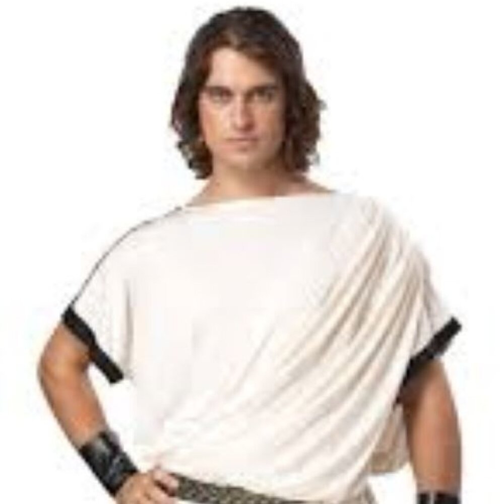 California Costumes Men's Deluxe Classic Toga Roman Greek Adult Costume - Used